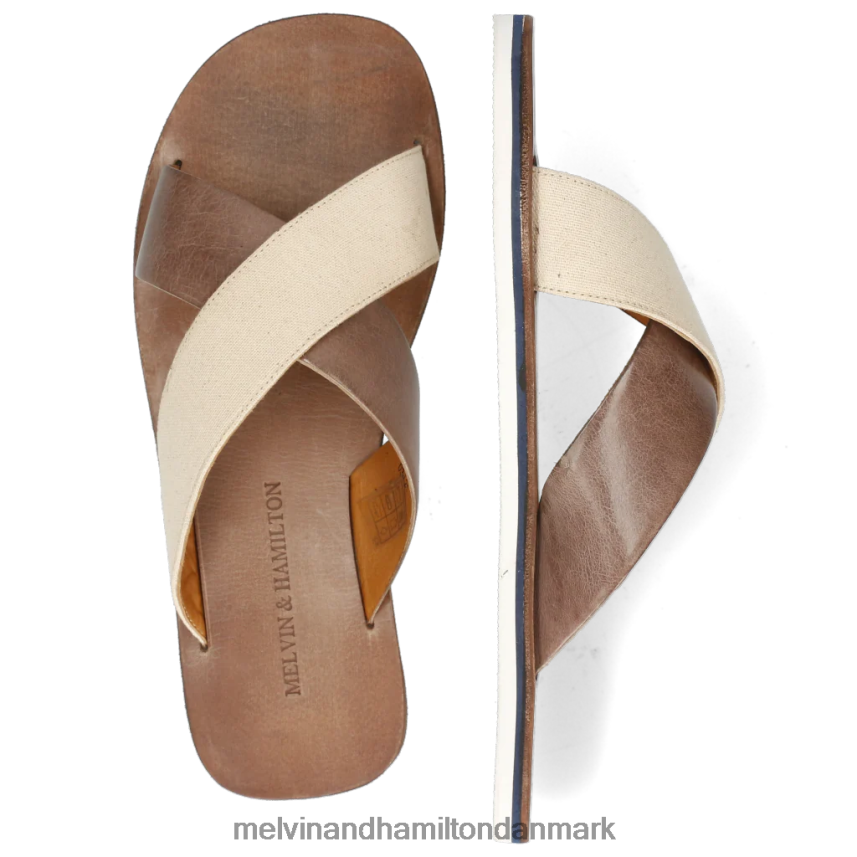 Mænd Melvin & Hamilton sam 5 Brun muldyr A28X66726